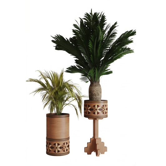 Zarnouk long planter and Bithanah long planter