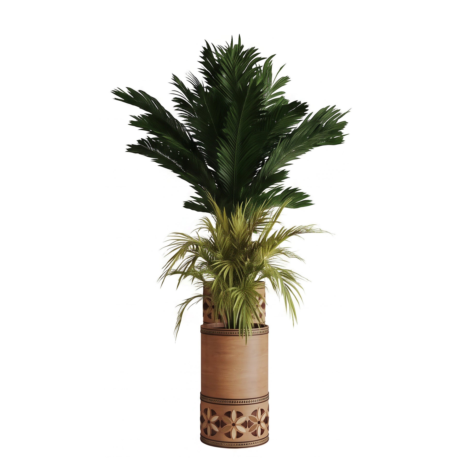 Zarnouk long planter and Bithanah long planter